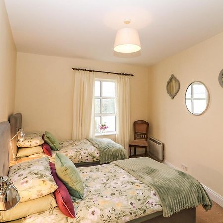 8 Scrahan Place Killarney Zewnętrze zdjęcie